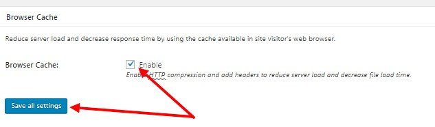 Настройки раздела Browser Cache в плагине W3TC